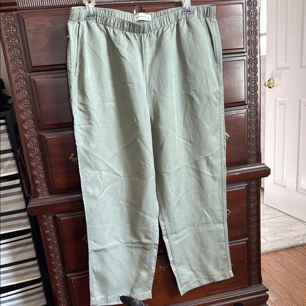 Abercrombie & Fitch Womens Linen blend Green Pants